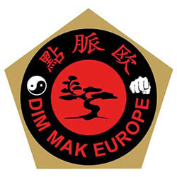 Dim Mak Europe – Kwalitatieve training in Dim Mak, Kyusho Jitsu en Qi Gong